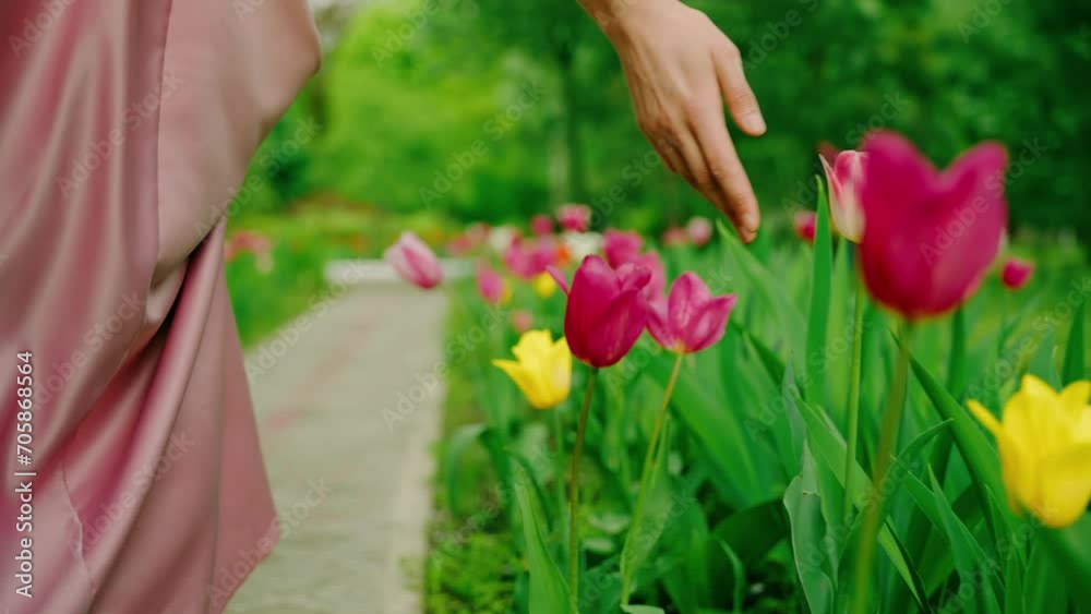 Close-up hand fingers touching blooming spring garden enjoys flowers tulips tree green grass alley. Woman queen Fantasy girl princess walks back rear view. pink dress vintage old style. lady dream. 4k Close-up hand fingers touching blooming spring garden enjoys flowers tulips tree green grass alley. Woman queen Fantasy girl princess walks back rear view. pink dress vintage old style. lady dream. 4k