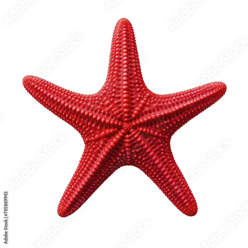 red starfish on transparent background