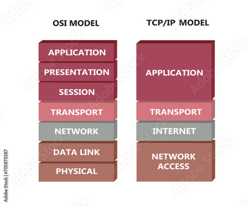 OSI and TCP model. vector