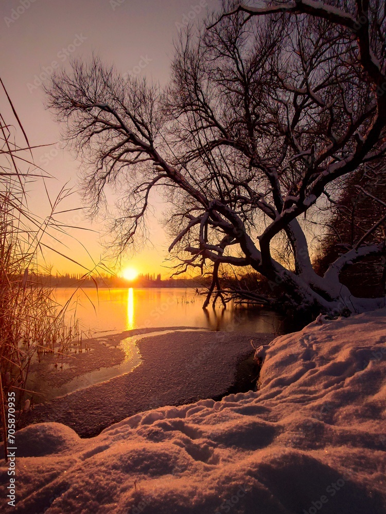 sunset in the winter