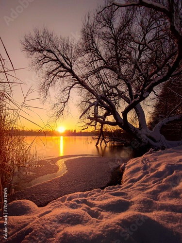 Obraz na płótnie sunset in the winter w salonie