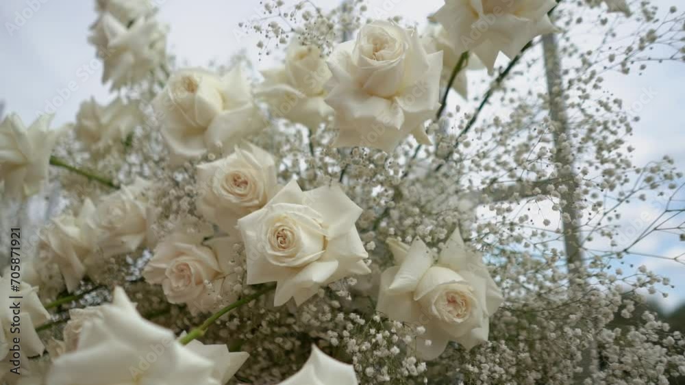 wedding arch of white rose flowers on the river bank before the wedding ceremony of the bride and groom, festive romantic decor wedding arch of white rose flowers on the river bank before the wedding ceremony of the bride and groom, festive romantic decor