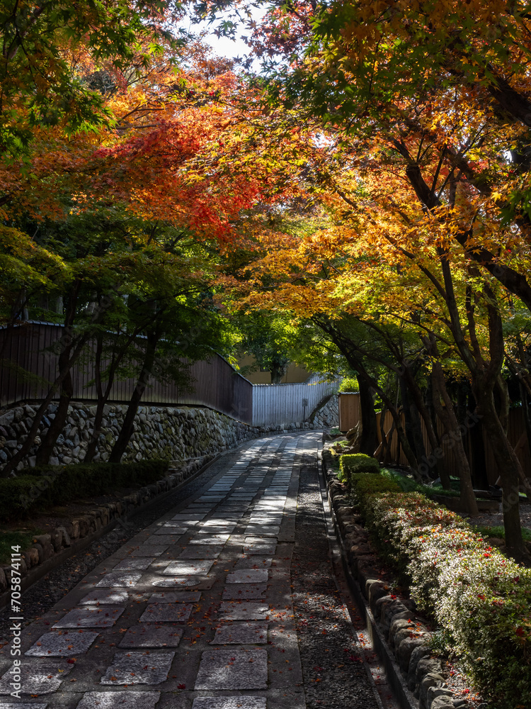 Quiet narrow alley near Tofukuji temple with autumn colors - Kyoto, Japan Quiet narrow alley near Tofukuji temple with autumn colors - Kyoto, Japan