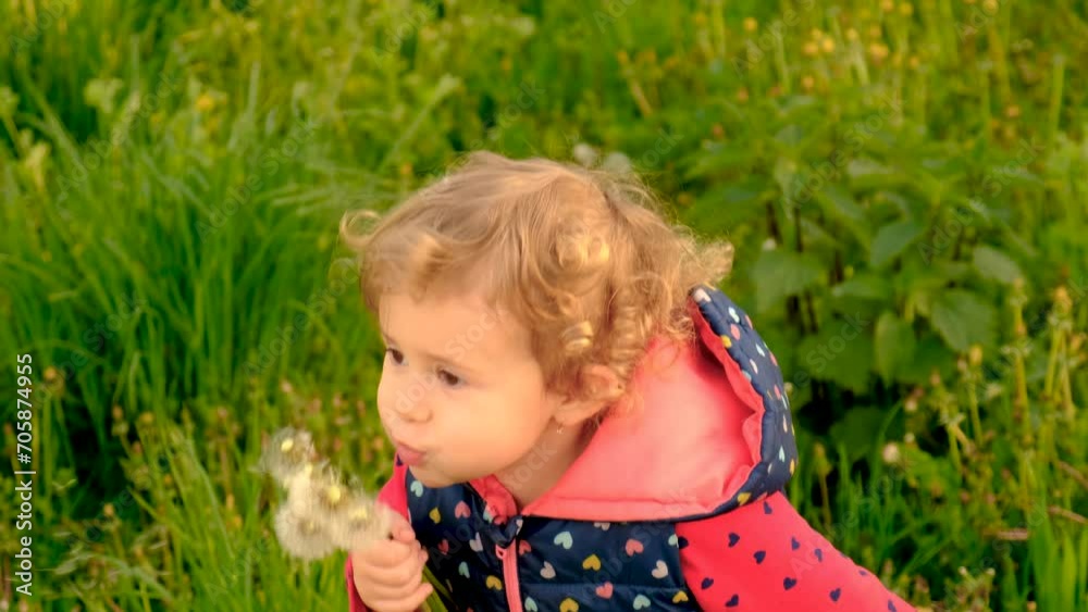 a child blows a dandelion in a field. Selective focus. a child blows a dandelion in a field. Selective focus.