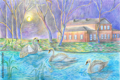 Swans on the lake color illustration . the painting is painted with colored pencils . pond , birds , moon , trees , landscape.