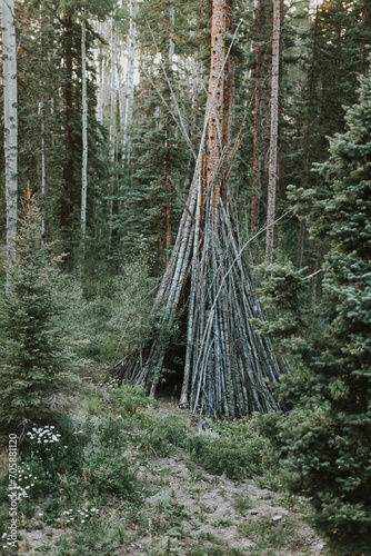 Teepee in Forest 