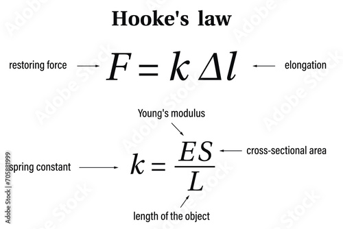Hooke’s law on the white background. Education. Science. School. Vector illustration. photo
