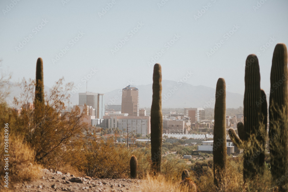View of Tucson 