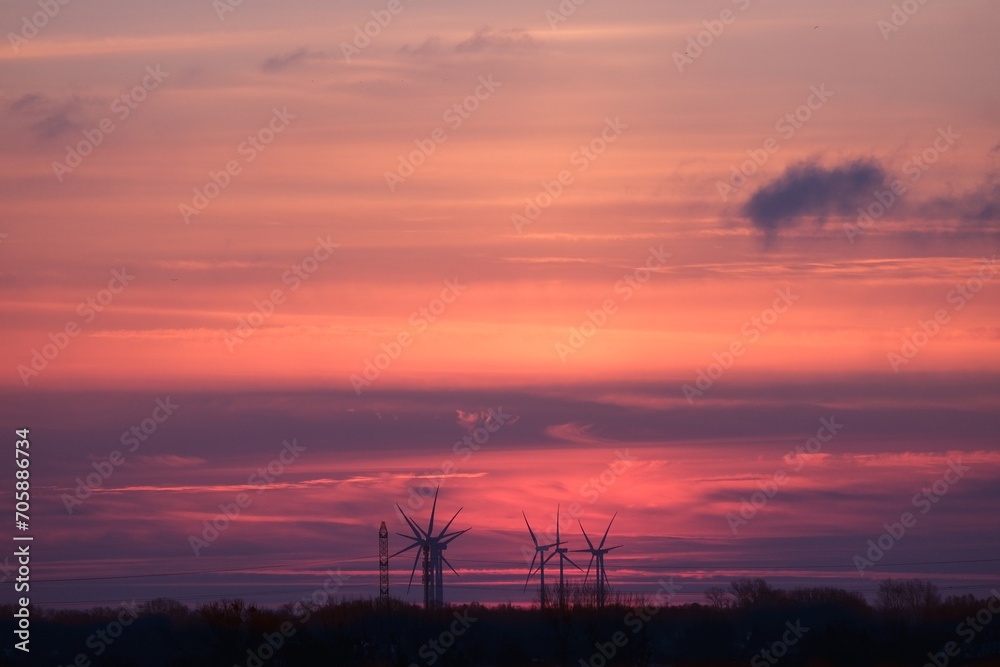 Farm of electric windmills on background of colorful sunrise sky. Zulawy Gdanskie, Poland