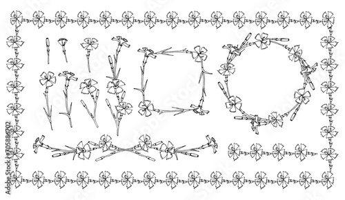 Clove Pink flowers and frames with cloves pink. Wildflower pattern. Set of Dianthus Caryophyllus or Wild Carnation floral. Plant hand drawn vector illustration