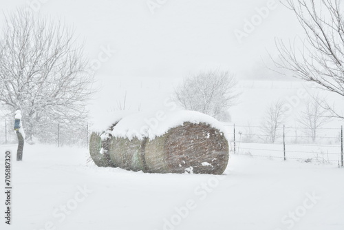 Hay Bales in Snow