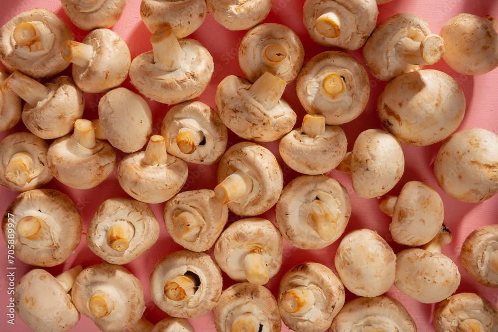 Raw champignons for cooking. Abstract structure of mushrooms on a pink background Raw champignons for cooking. Abstract structure of mushrooms on a pink background