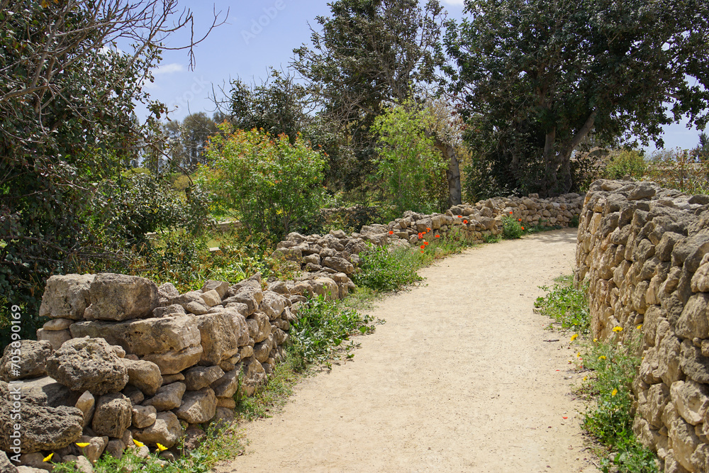 Path with stones and flowers in Cyprus