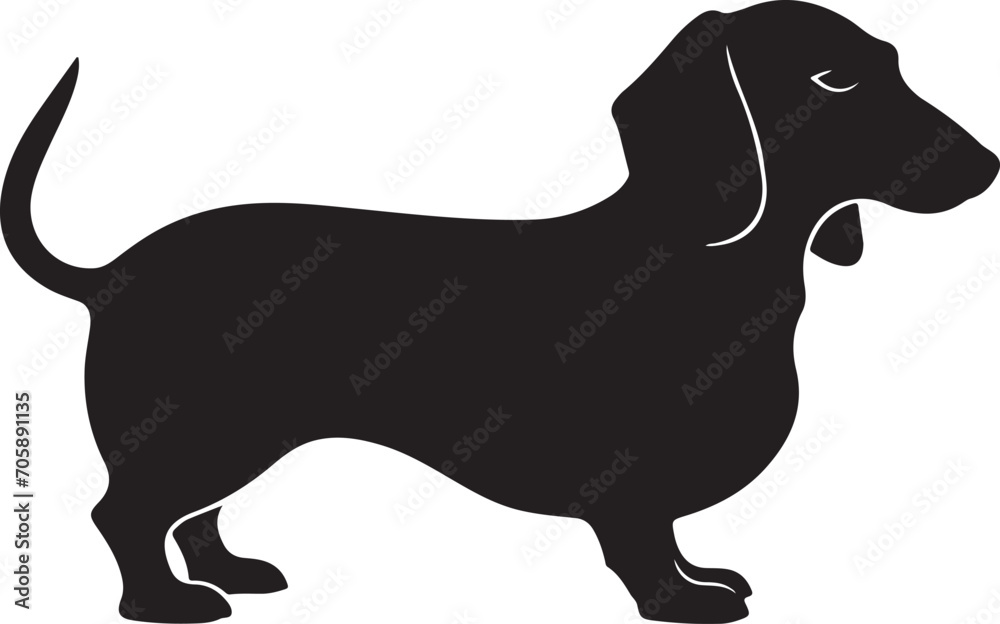 Dachshund, solid black silhouette, vector