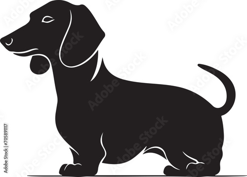 Dachshund  solid black silhouette  vector