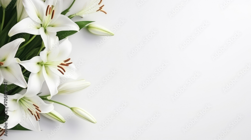 flowers white pastel lilies composition on a white background copy space template flowers white pastel lilies composition on a white background copy space template