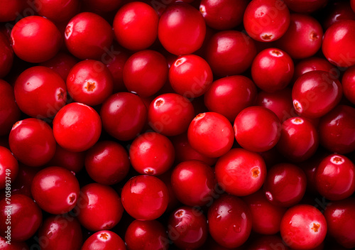 Heap of cranberry  top view  berry background
