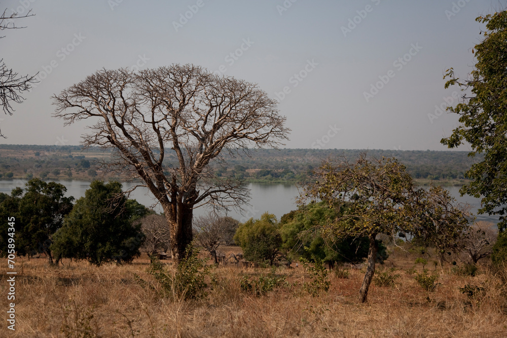 Zambia Zambezi river on a sunny winter day