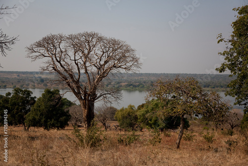 Zambia Zambezi river on a sunny winter day
