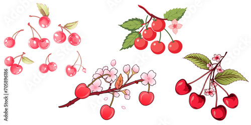 set of cherry on transparent background. png file