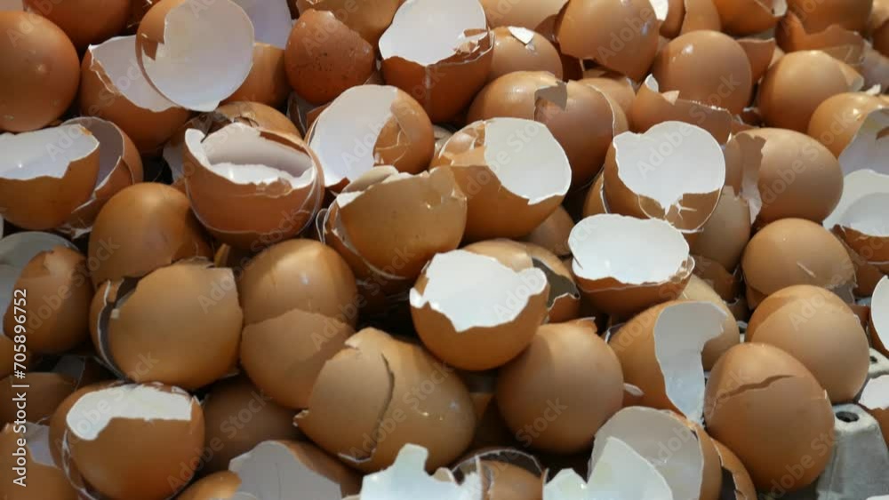 Egg shells