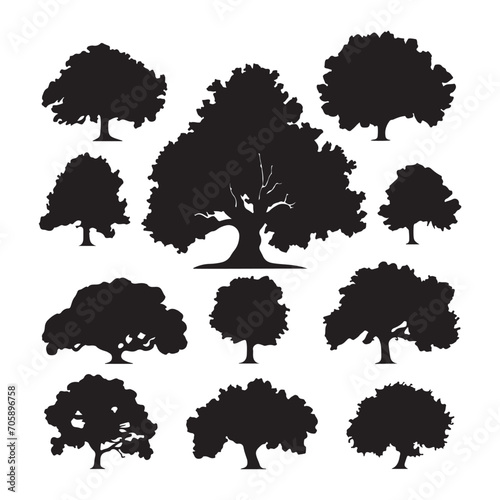 A black silhouette Oak tree set, Clipart on a white Background, Simple and Clean design, simplistic