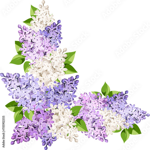 Corner background with purple, pink, and white lilac flowers and green leaves. Vector floral border