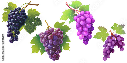set of grape on transparent background. png file