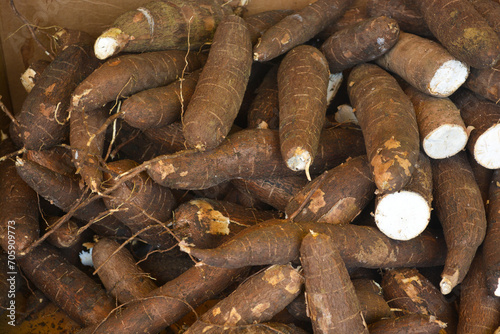 Close up view of a pile of cassava roots (Manihot esculenta) displayed on market stall.  photo