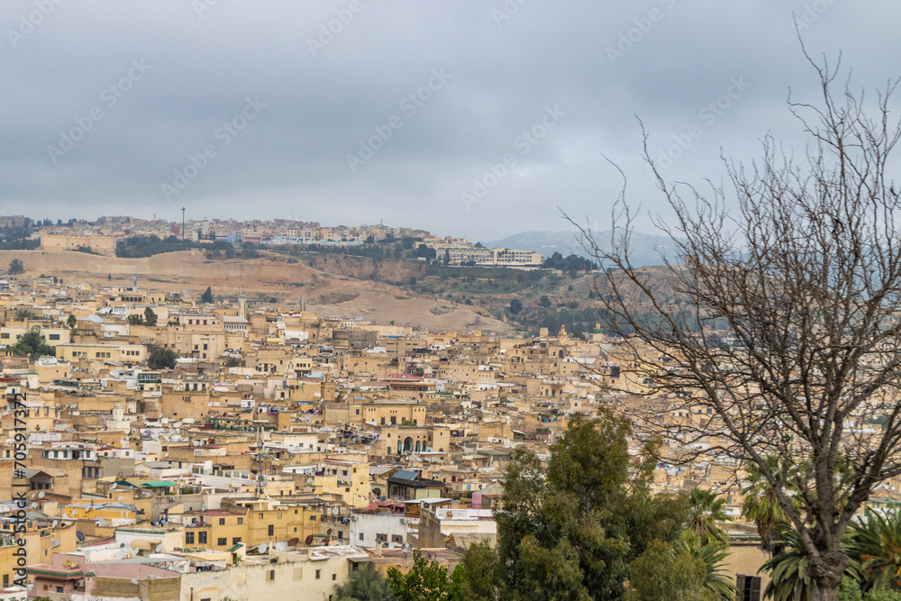 Morocco, Fes - aerial view of the city and medina of Fez, including details.
