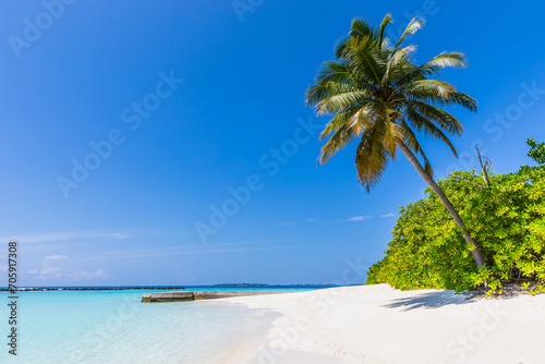 Fototapeta Naklejka Na Ścianę i Meble -  Palm trees  on a tropical island  in the Maldives