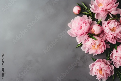 Flat lay of pink peony flowers with copyspace on grey background