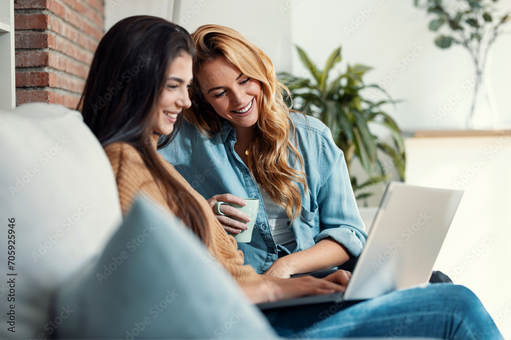 Two happy beautiful women using computer while planning their vacation sitting on the couch at home. Two happy beautiful women using computer while planning their vacation sitting on the couch at home.