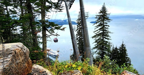 Εκτύπωση καμβά Princes cruise  Icy strait point,  Alaska