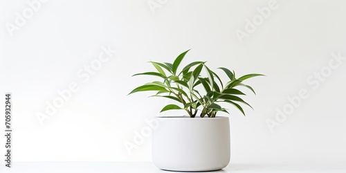 Selective focus on a white plant pot isolated on a white background.