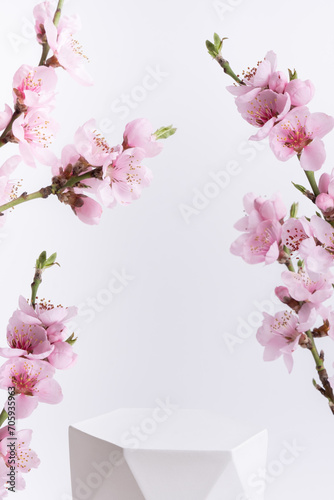 Podium or pedestal for cosmetics product decorated with cherry blossom twigs. Cosmetic template