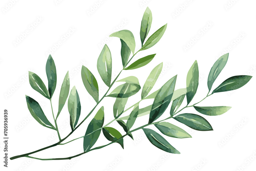 Watercolor green branch with leaves. Green leaves on transparent background, design element for invitation and more.. Vector illustration. - obrazy, fototapety, plakaty 