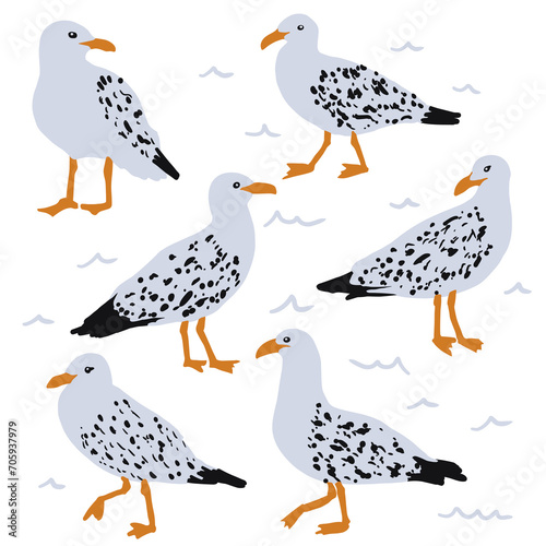 Collection of seagulls. Vector illustration of cartoon seagulls birds in different actions: standing, jumping, running, walking. Isolated on white.  © yaviki