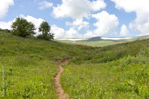 Walking in the highlands in a natural park, during the flowering of plants and warm weather.