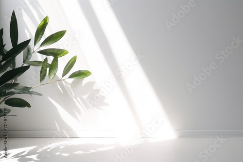  Minimalistic light background with blurred foliage shadow
