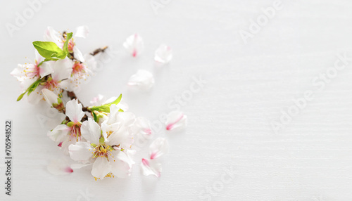White pink almond tree flowers on a white wooden background. Jewish holiday Tu Bishvat. Top view, flat lay photo