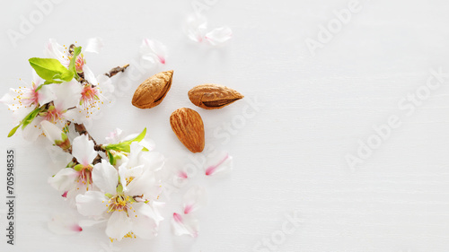 White pink almond tree flowers with almonds on a white wooden background. Jewish holiday Tu Bishvat. Top view, flat lay photo