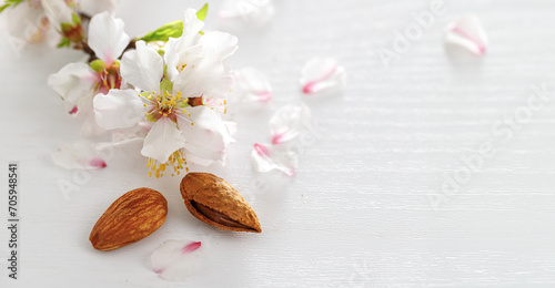 White pink almond tree flowers with almonds on a white wooden background. Jewish holiday Tu Bishvat. Top view, flat lay photo