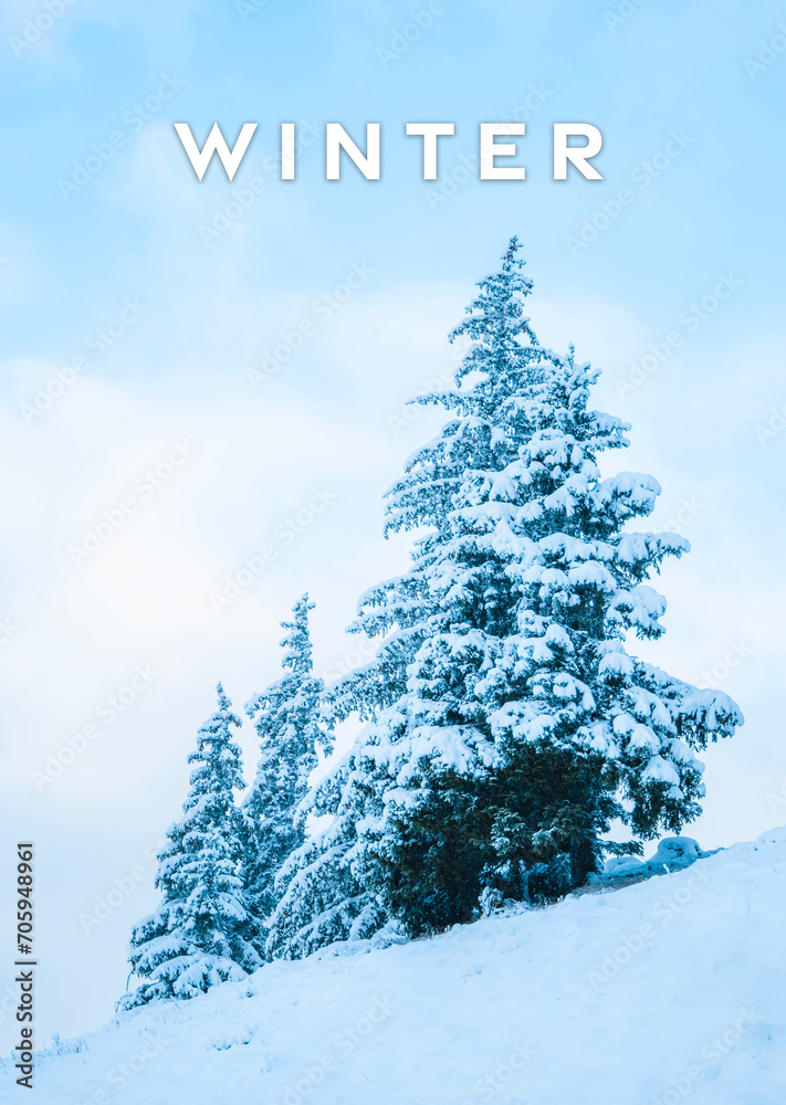 Winter text illustration, winter landscape with snowy pine trees. Winter vertical poster with blue hues