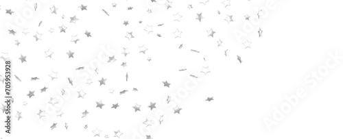 Snowflakes Falling On Snow - Winter Banner