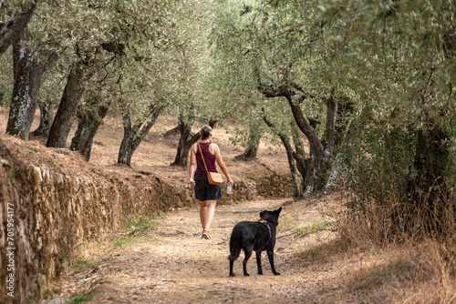 A female tourist walking with her dog on a path among olive trees in the Tuscany © imagoDens