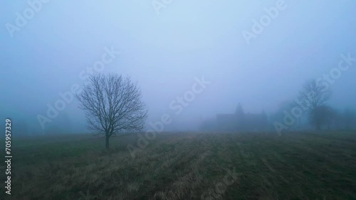 Shot of trees in the countryside, in winter in very thick fog.