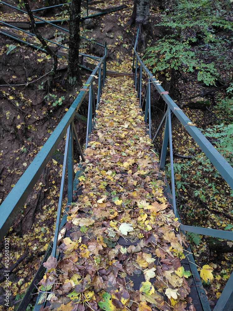 A bridge covered with colorful leaves in the village of Dolno Jelovce (Gostivar, Macedonia) on a beautiful autumn day A bridge covered with colorful leaves in the village of Dolno Jelovce (Gostivar, Macedonia) on a beautiful autumn day