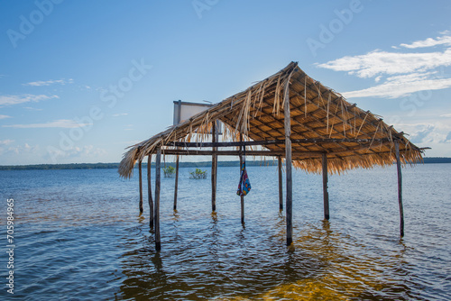 Ilha no Rio Arapiuns em Alter do Chão, Pará, Brasil photo
