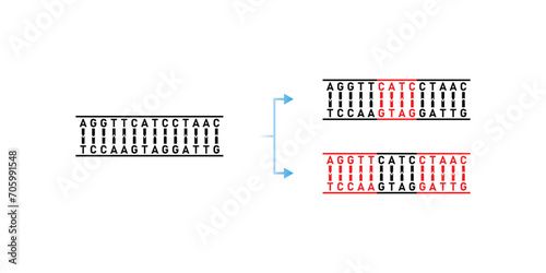 Dispersive DNA Replication Scientific Design. Vector Illustration.